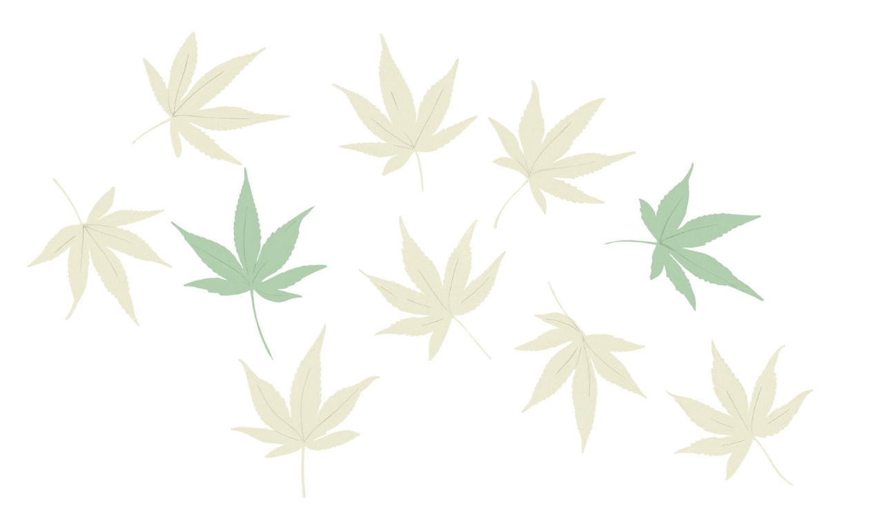 Пищевые волокна